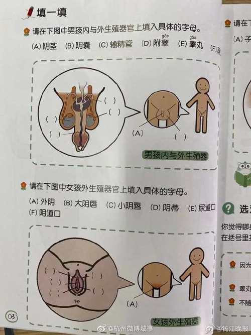杭州一小学发性知识手册被说太直白