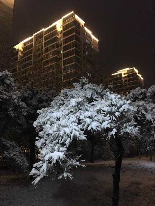 夜晚雪景2020.1.