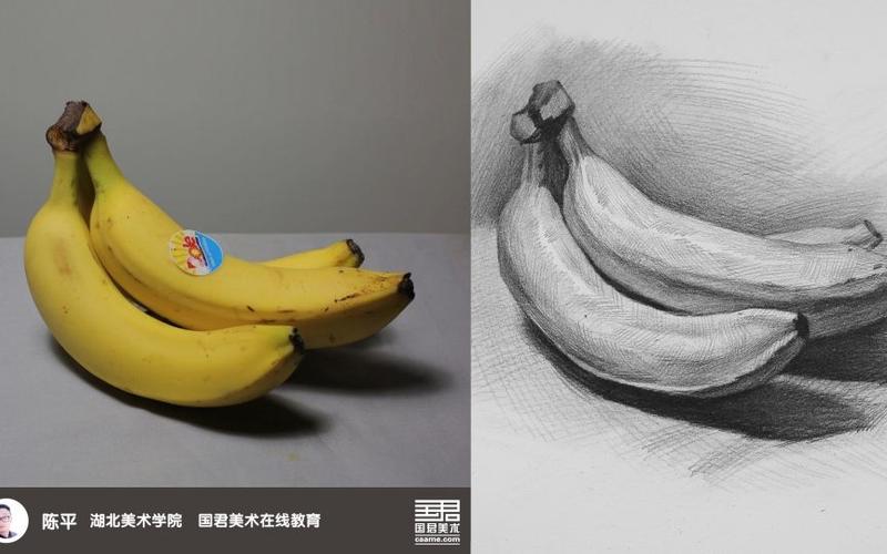 国君美术素描静物单体香蕉陈平2016