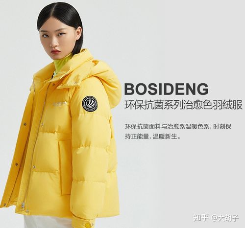 波司登羽绒服是中国驰名商标,畅销全球72个国家,中国名牌,十大羽绒服