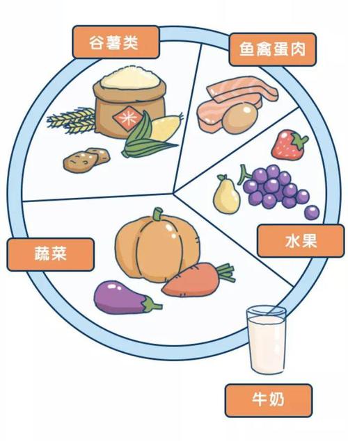 建议每天最好摄入12种以上的食物,每周25种以上,就能保证饮食营养均衡