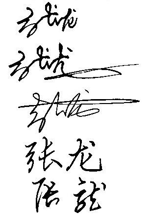 张龙艺术签名