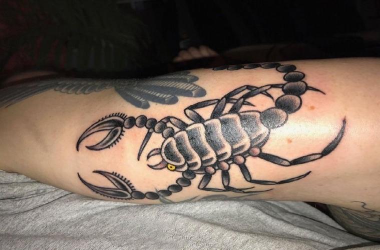 蝎子纹身 男生手臂上黑色的蝎子纹身图案