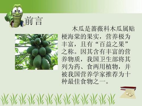 木瓜的营养成分及食疗保健功能ppt