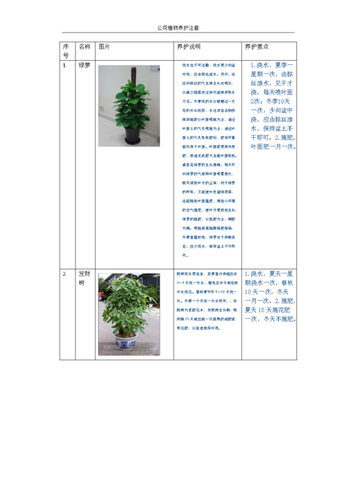 公司植物养护说明.doc