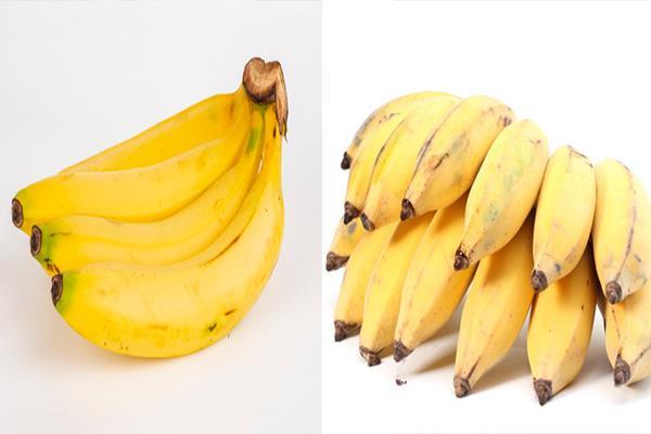 香蕉和芭蕉的具体区别