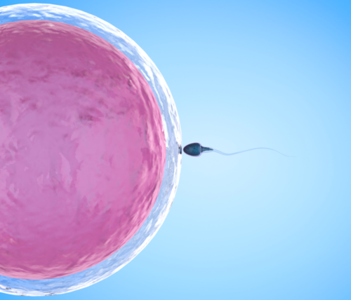 手术治疗:手术治疗可以减少卵巢中部分颗粒细胞,卵巢间质产生雄激素