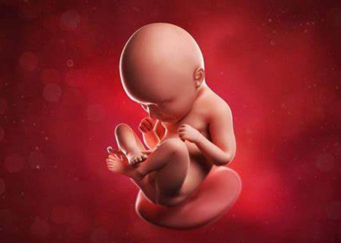 七个月胎儿的生长情况过来人详细告诉你应注意这些事别大意
