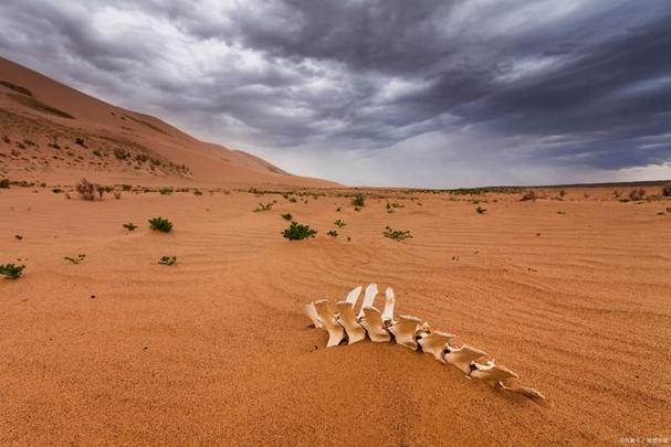 撒哈拉沙漠究竟有多深?若挖光沙子,底下会有什么?