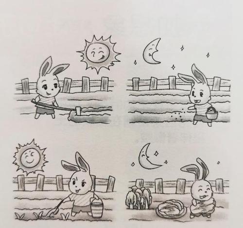 小兔种胡萝卜看图写话