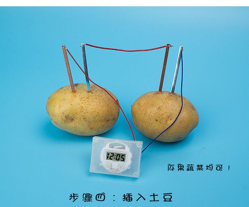 土豆钟科技小制作手工diy水果电池发电水果钟表科学趣味小实验新