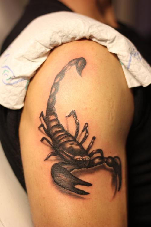 男士大臂蝎子纹身图案