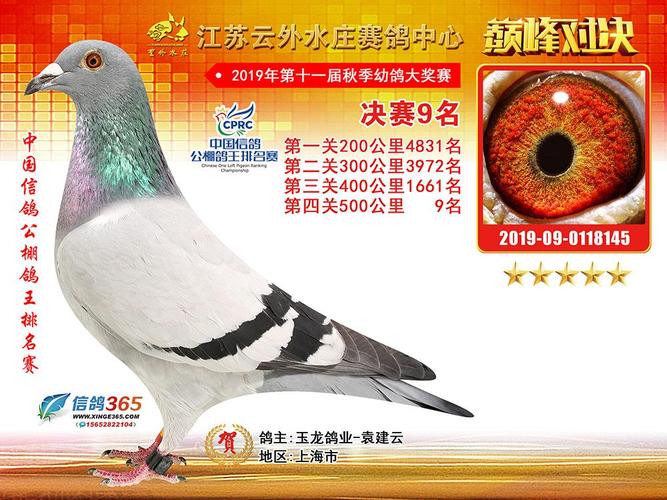 云外水庄决赛第9名 -- 中国信鸽协会官方网站