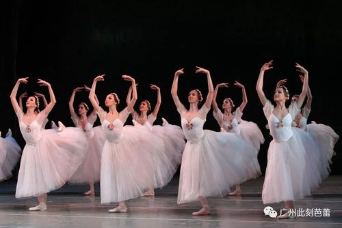 芭蕾舞剧火鸟起源于哪个国家?