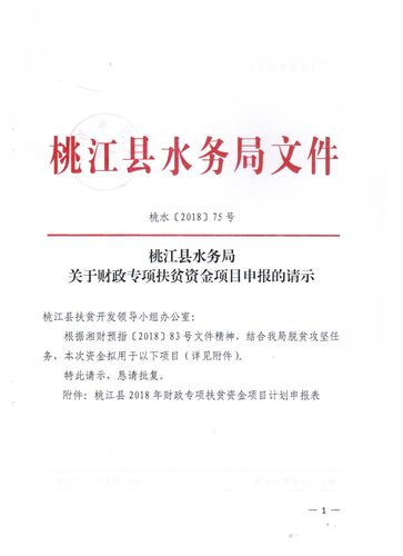 桃江县水务局关于财政专项扶贫资金项目申报的请示