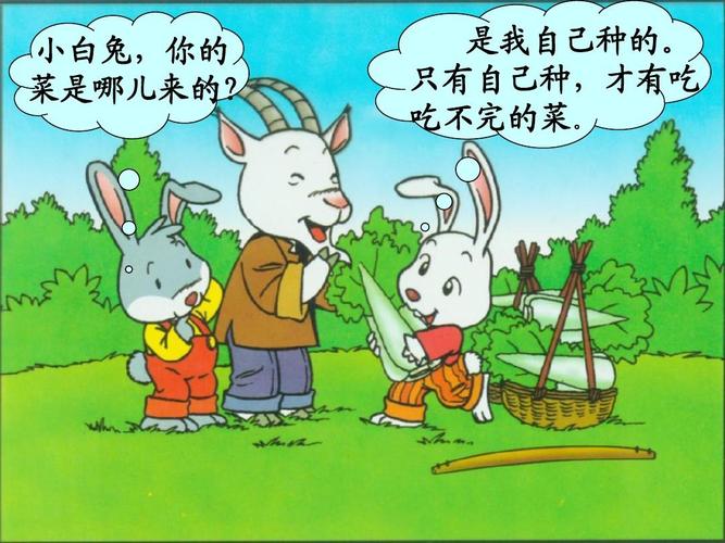 小白兔和小灰兔明白什么道理