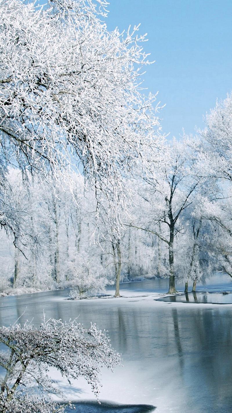 好看的冬日雪景唯美意境高清手机壁纸免费专辑套图7