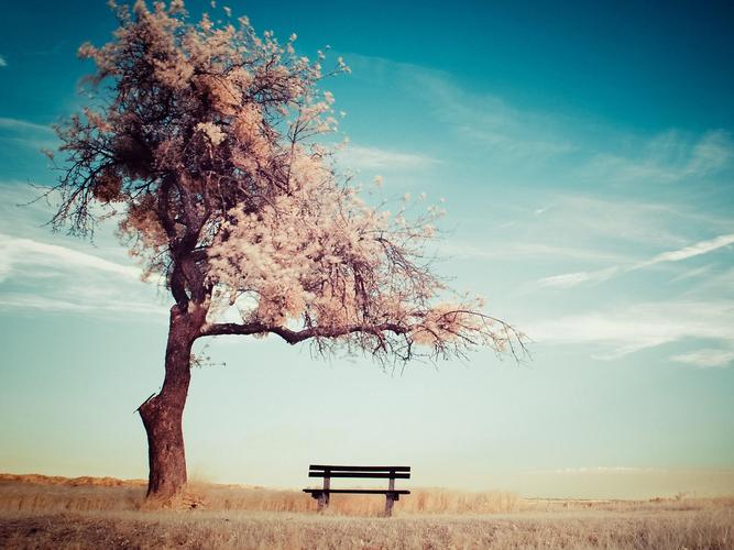 孤独忧伤,意境,树,云,最美天空日最新壁纸图片