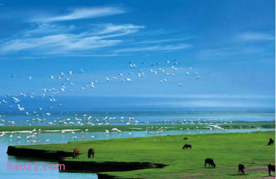 鄱阳湖位于江西省北部,总面积3960平方公里,是中国五大淡水湖之一