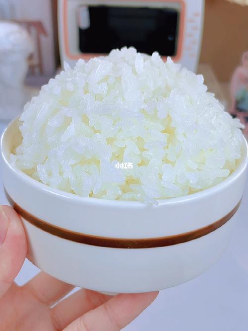 这样吃大米饭真的太幸福了
