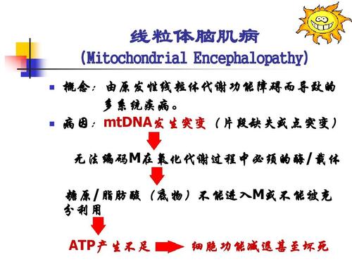 线粒体脑肌病 encephalopathy) (mitochondrial encephalopathy) 概念