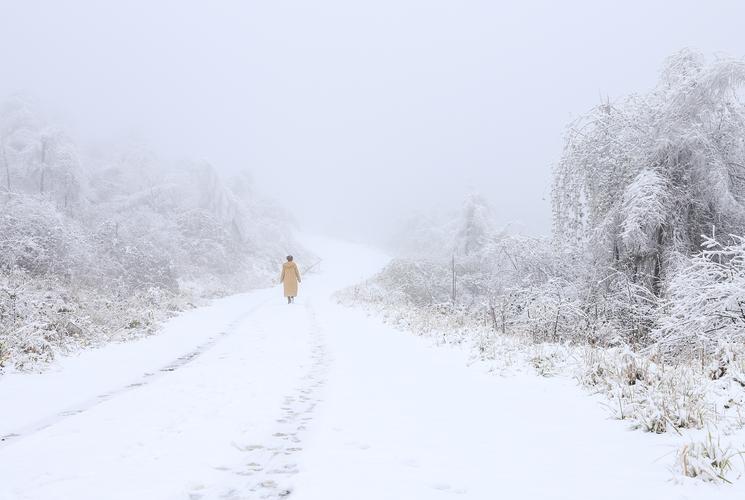 雪中行(1)--彭万庚拍摄于元堡麻山.jpg