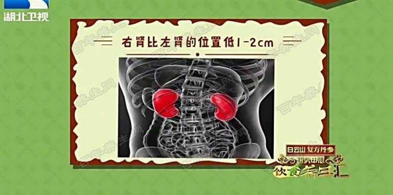20170111饮食养生汇视频和笔记何庆勇肾炎急性肾炎黑豆核桃粥