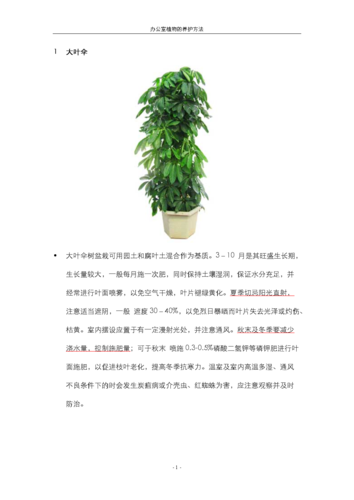 办公室植物的养护方法.doc