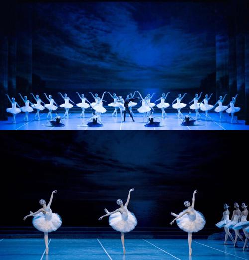 芭蕾舞蹈天鹅湖