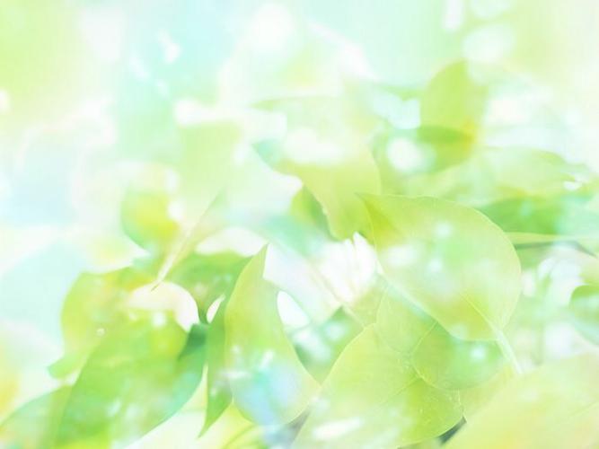 清爽绿叶,水,空气ppt背景图片素材