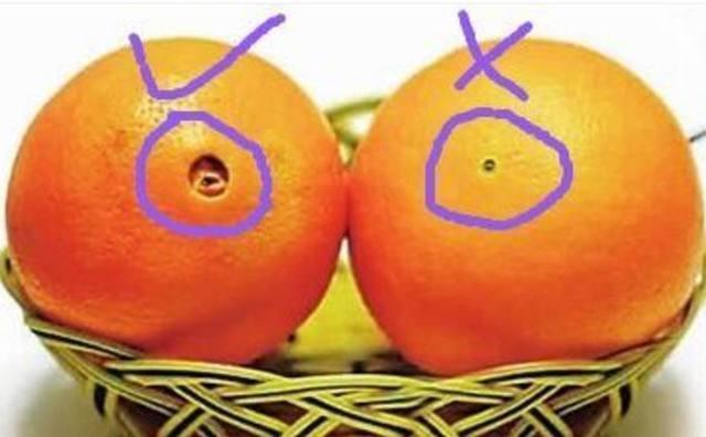 母橘子和公橘子