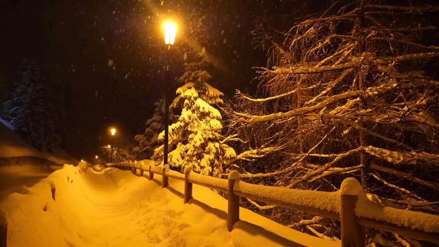 下雪的浪漫:冬日恋歌与唯美雪景