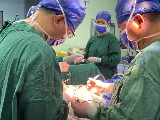 岁 11 月女童脑干肿瘤,江西省儿童医院手术切除-医院汇-丁香园