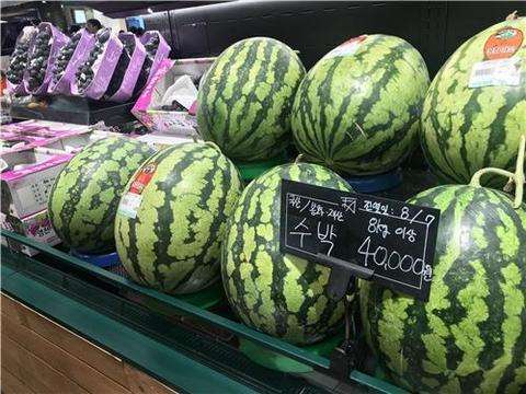 西瓜由于增产,刚刚出来的时刻,卖出了9600韩元(60元人民币)一个的价钱