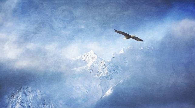 翱翔于蓝天的鸟儿是自由的象征.