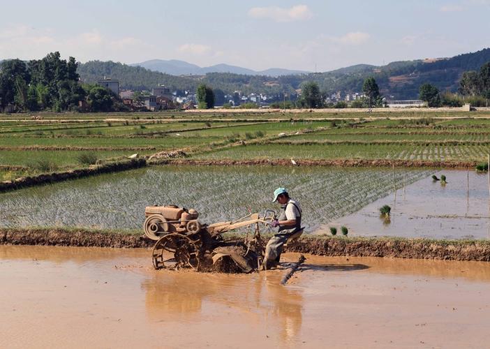 5月15日,云南省寻甸县七星镇腊味村的农民在耕田.
