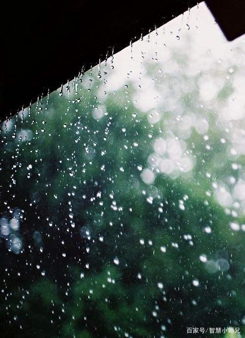 淋漓在古诗词里的那场雨,唯美千年!