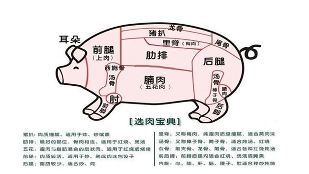 大排是里脊肉与背脊肉连接的部位,又称为肉排,多用于油炸.
