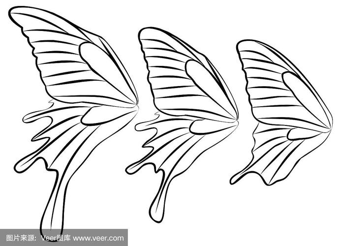 蝴蝶的翅膀.