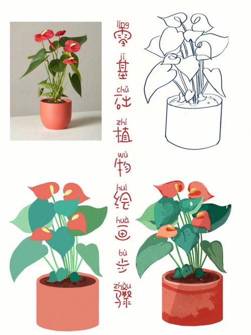 『6/50』零基础植物插画步骤图