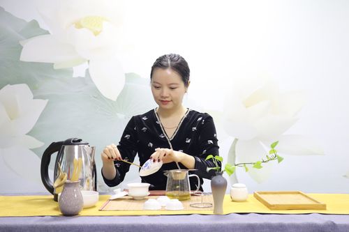 深圳茶艺师培训中心