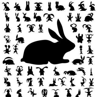 兔子影子图片