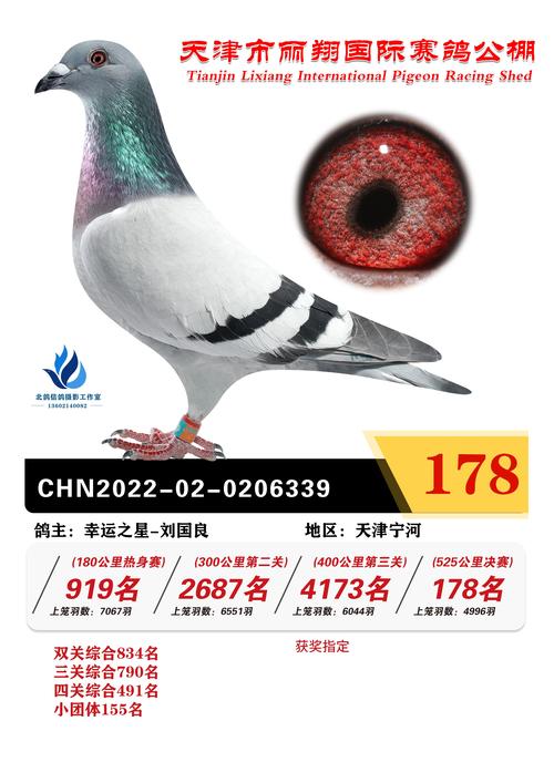 天津丽翔公棚决赛178名 -- 中国信鸽协会官方网站