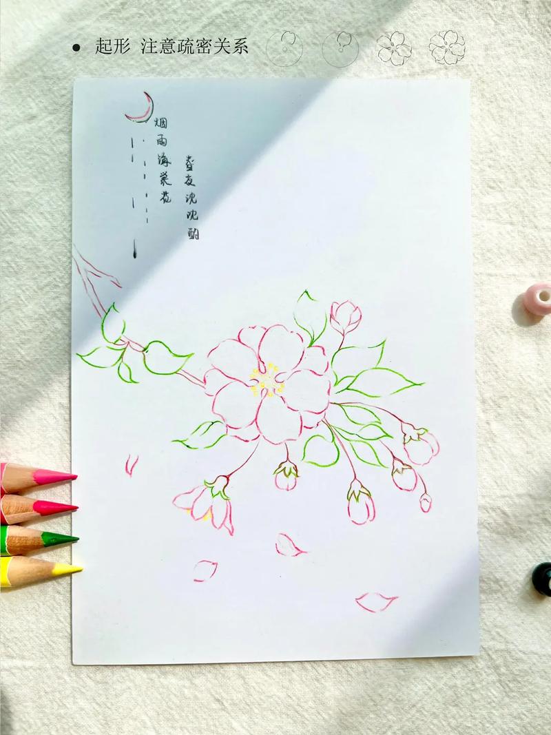 海棠花彩铅绘画教程～最近你有遇到海棠花嘛.