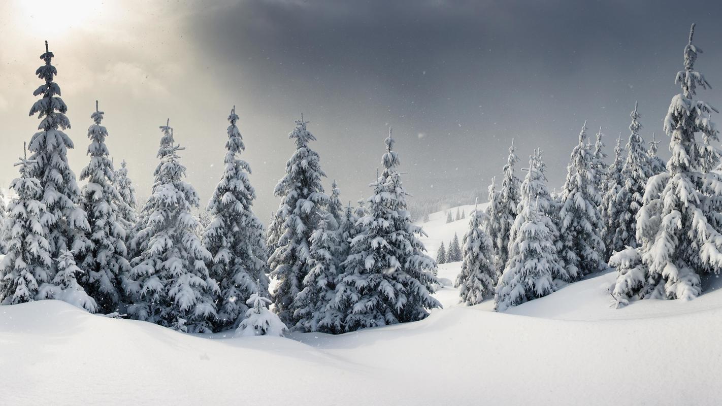 冬天雪中美景唯美意境高清图片合集电脑桌面壁纸下载第二辑