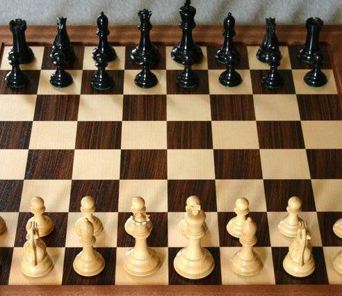 国际象棋术语