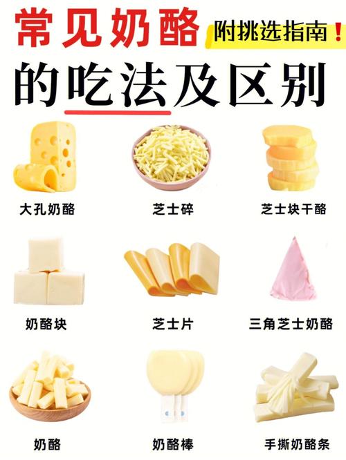 如何挑选奶酪71常见奶酪吃法与区别75
