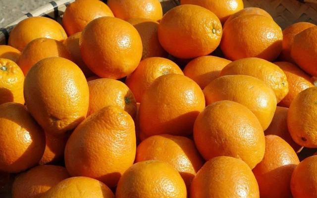 桔子和橙子哪个含糖高