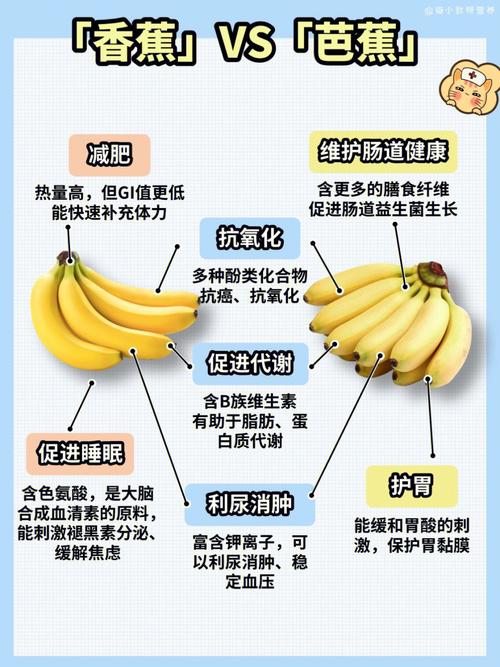 香蕉芭蕉哪一种更通便