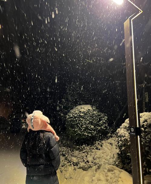 一个人淋雪的图片